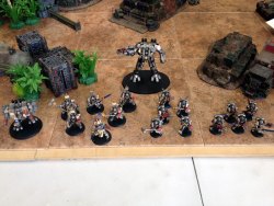 Sean's Grey Knights